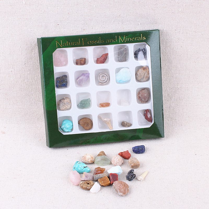 Crystals, Fossils, And Polished Gemstones Set