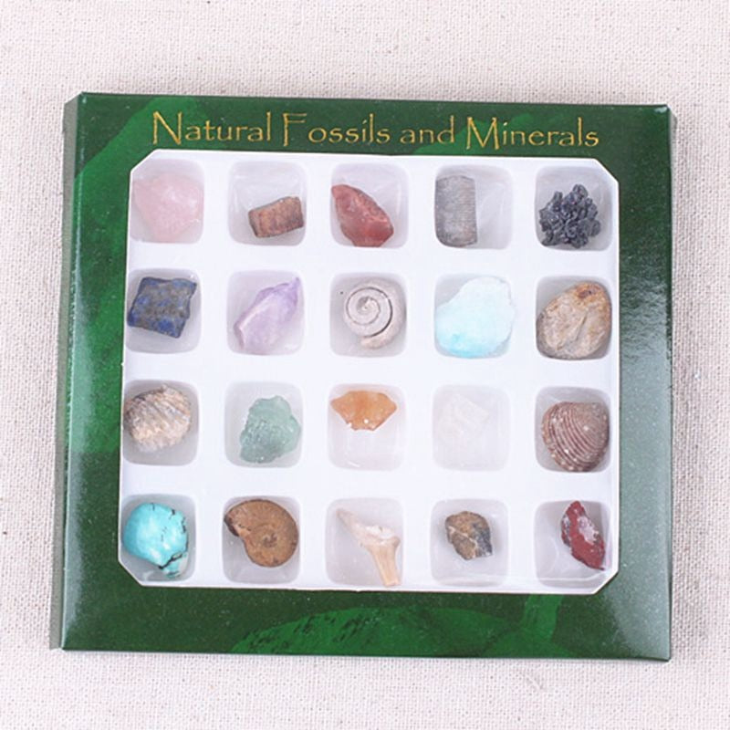 Crystals, Fossils, And Polished Gemstones Set