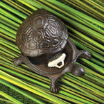 Turtle Key Hider